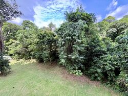 Lakeview Estate (D20), Apartment #566175891